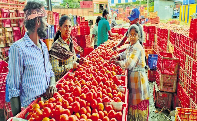 Tomato was priced at Rs 100 per kg at Madanapalle market in Chittoor - Sakshi