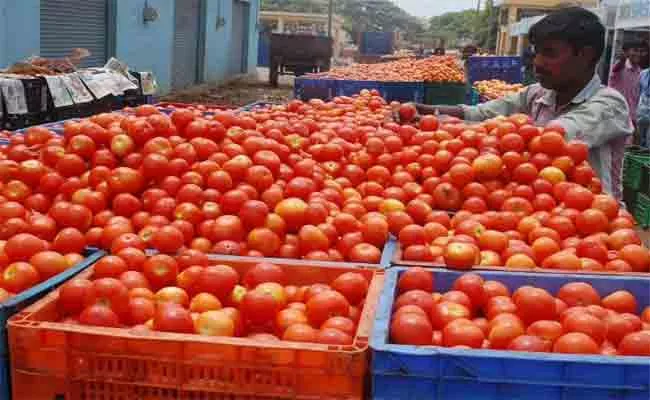Tomato Crosses 100 Rupees In Madanapalle Market - Sakshi