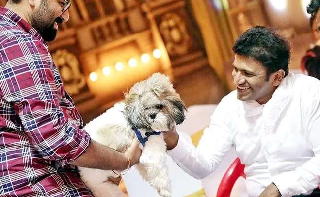 Puneeth Rajkumar Pet Dog Get Emotional After His Death - Sakshi