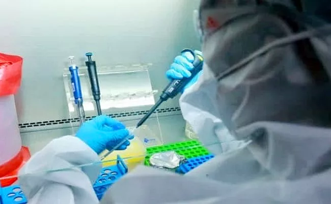 Denmark Scientists Develop Molecules Blocks Covid Infection - Sakshi