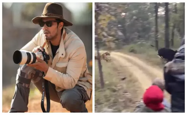 Randeep Hooda Shared Video Tiger Chasing Its Prey - Sakshi