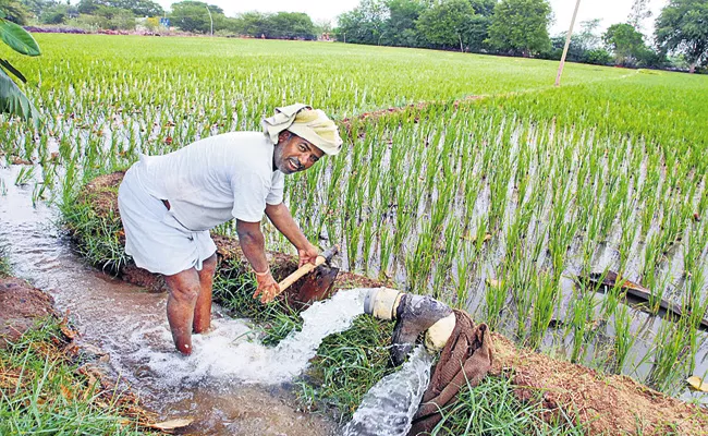 E-crop registration was carried out during the kharif season - Sakshi