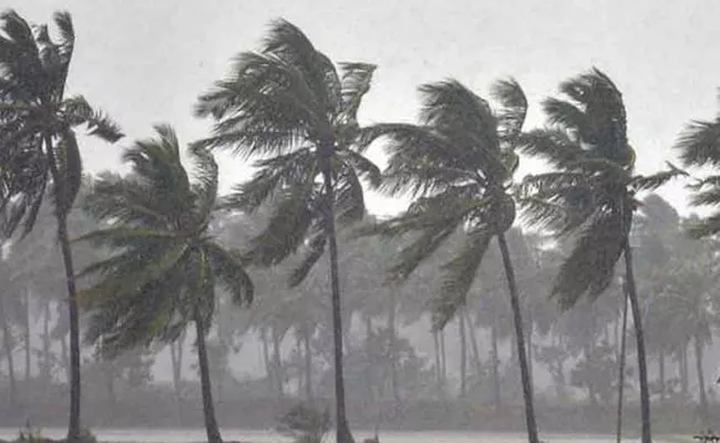 AP Power Department Is Gearing Up To Face Jawad Cyclone - Sakshi