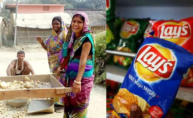 Indian Farmers Victory PepsiCo loses rights to special Lays variety potato - Sakshi