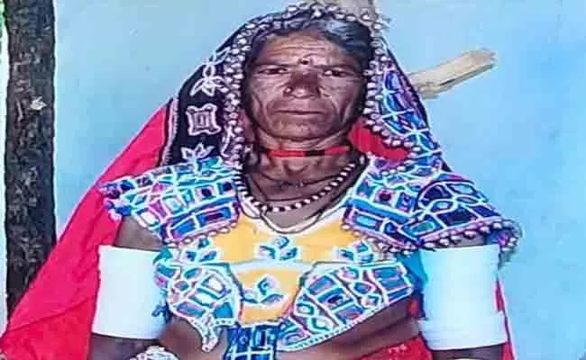 Family Disputes: Man Burtally Attack On Old Woman In Nalgonda - Sakshi