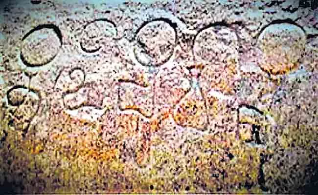 Which Was First Telugu Inscriptions Once Again Become Debatable - Sakshi