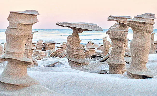 Dildo Sculptures in Sand on American Beach at Lake Michigan - Sakshi