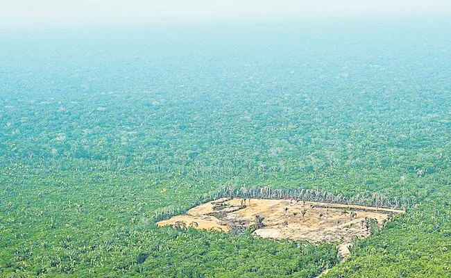Amazon Deforestation and Climate Change - Sakshi