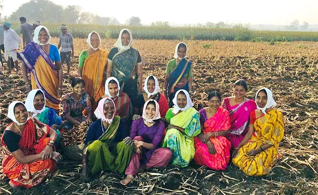 Sai Pallavi Turns A Farmer, Pic Goes Viral - Sakshi