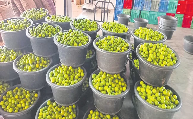 The Price Of Lemon Rewriting History Price Of Kilo Lemons Rs 180 - Sakshi