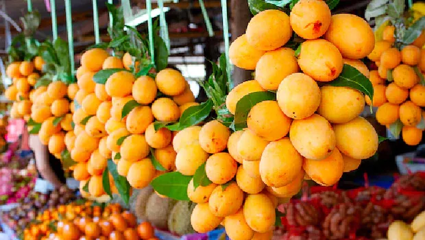 Started New Portal Sell Mangoes Directly From Farmers To Consumers  - Sakshi