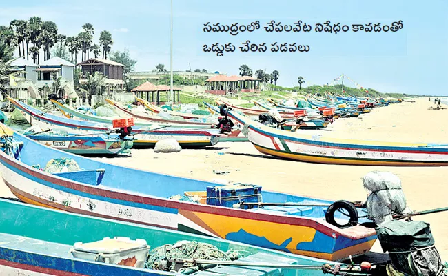 Lifestyle Of Fisherman Gradually Change For Past 3 Years - Sakshi