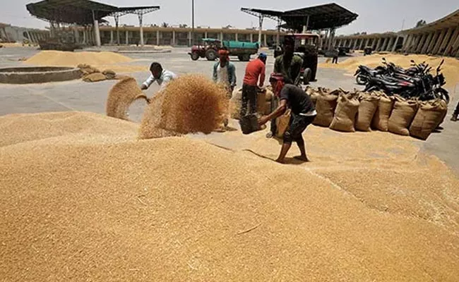 UAE To Suspend Exports Of Indian Wheat For Four Months - Sakshi