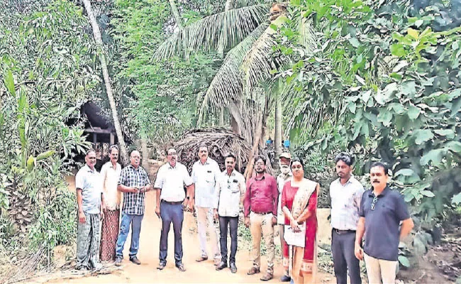 Srikakulam: International Fame For Uddanam Coconut Kaviti - Sakshi