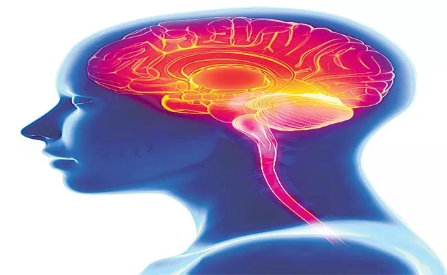 Brain Damage: Symptoms, Causes, Treatments - Sakshi