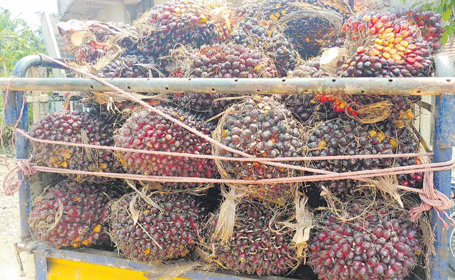 Horticulture Department issued orders Oil Palm Price - Sakshi