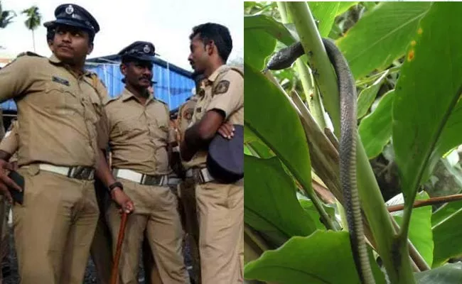 Rubber Snakes keep this police station safe from menacing monkeys - Sakshi
