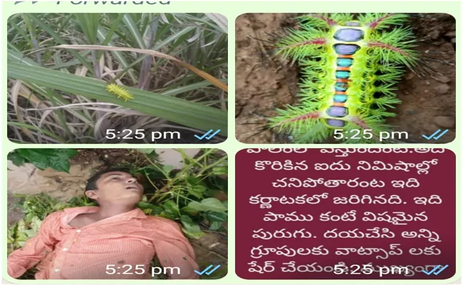 Scientists Clarified Viral Posts on WhatsApp Groups Anantapur - Sakshi