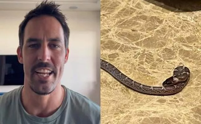 Mitchell Johnson on finding snake in hotel room - Sakshi