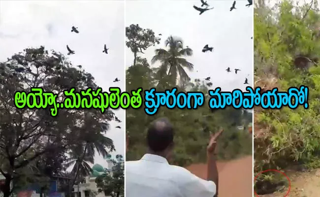 Birds Fall to Death After Tree Bulldozed Gadkari Office Reacts - Sakshi