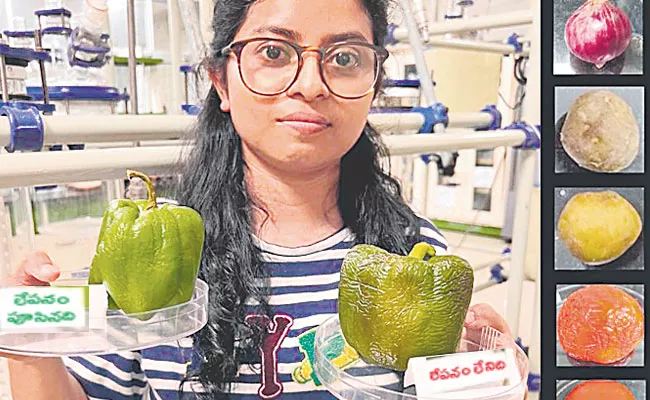 IIT Guwahati Scientists Develop Biodegradable, Edible Coatings For Fruits, Vegetables - Sakshi
