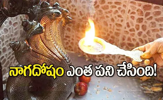 Tamil Nadu Man Tongue Bite By Poisonous Snake - Sakshi