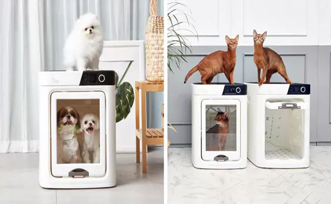 Best Smart Pet Dryer Review - Sakshi