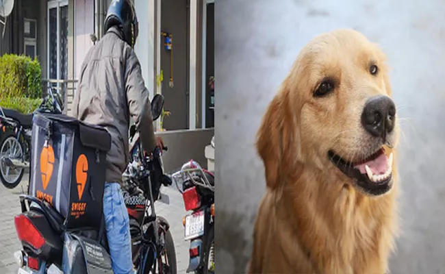 Food Delivery Boy Jumps Off Third Floor With Scared Of Dog Hyderabad - Sakshi