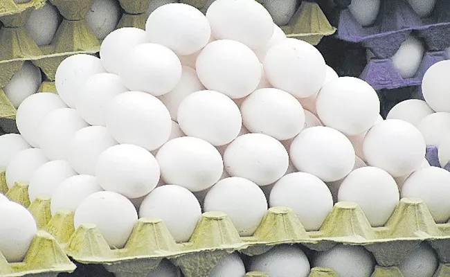 International demand for eggs from southern states has increased - Sakshi