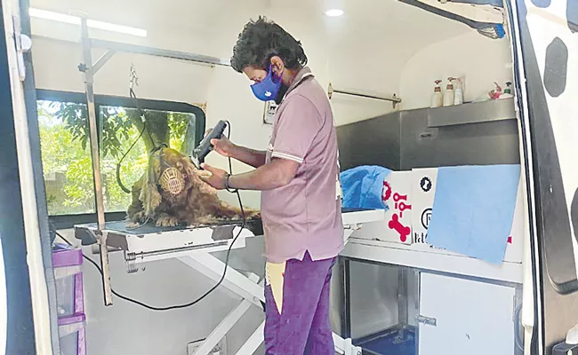 Pets Grooming Services rising In Hyderabad - Sakshi