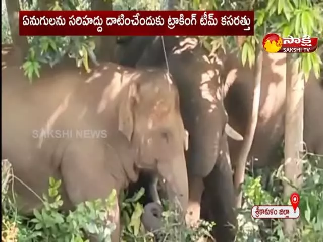 Elephants Hulchul in Srikakulam and Manyam districts