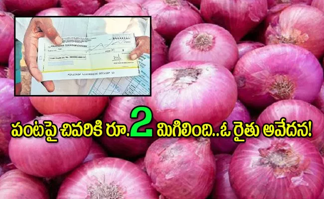 Maharashtra: Solapur Farmer Sell 512 Kg Onions, Finally Get Cheque For Rs 2 - Sakshi