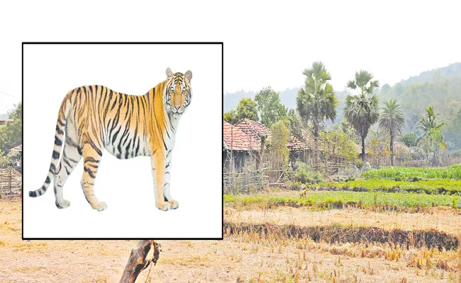 Telangana Govt Working To Establish Tiger Zones - Sakshi