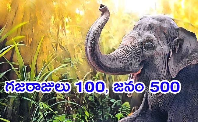 60 percent of elephants in Asia are in our country - Sakshi
