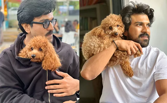 National Pet Day 2023: Ram Charan and His Pet Dog Rhyme Pics Goes Viral  - Sakshi