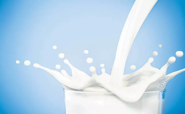 SOP for implementation of Milk Procurement, Quality Milk Consumption Act - Sakshi