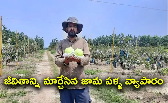 Mba graduate rajeev bhaskar quit his job to grow thai guavas earns over rs 1 crore - Sakshi