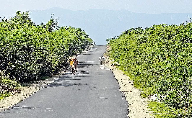 Modernization of another 916 km of roads in rural areas - Sakshi