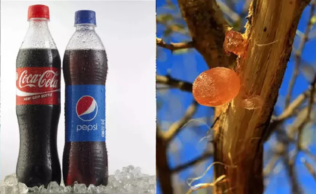 How Sudan War May Disrupt Pepsi And Coca Cola Global Production - Sakshi