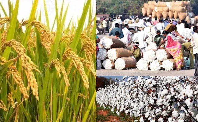 Prof Jayashankar Agriculture University Price Analysis On Crops - Sakshi