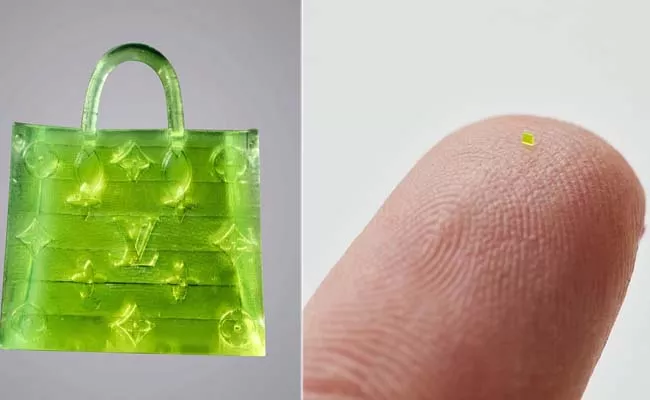 This Microscopic Louis Vuitton Bag Is Smaller Than A Grain Of Salt - Sakshi