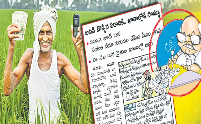 Farmers Insurance Claims settlement In Andhra Pradesh With YSR Bheema - Sakshi
