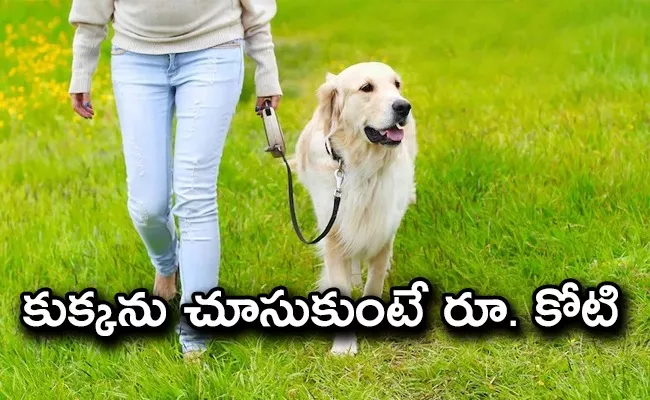 Billionaire Family Puts Up Viral Offer Rs 1 Crore Salary/Year For Live-In Dog Nanny - Sakshi