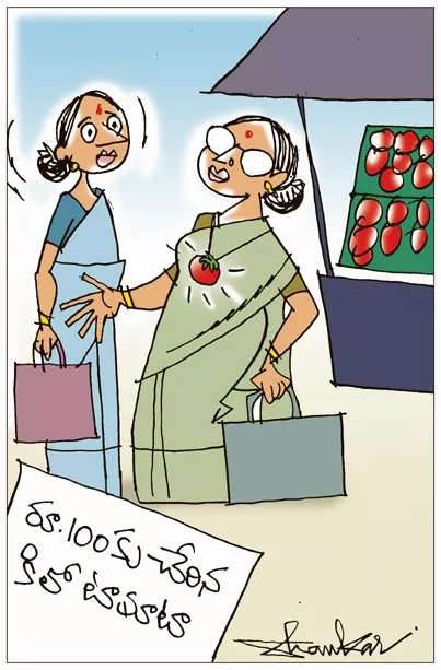 Sakshi Cartoon On Tomato Price