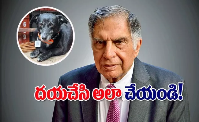 Ratan tata social media post about animals special request to driver - Sakshi