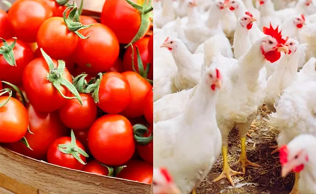 Tomato Prices  Beat The Chicken Cost Know More Details - Sakshi