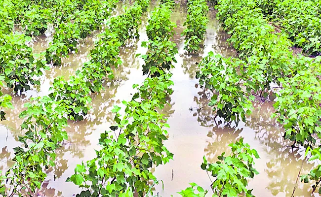 Telangana is third in crop loss - Sakshi