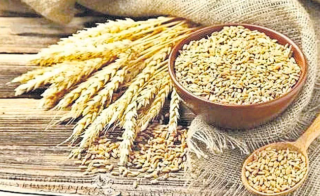 Stabilization of prices of wheat and rice - Sakshi