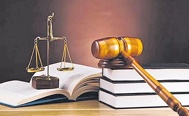 Special court verdict in Visakhapatnam molestation case  - Sakshi