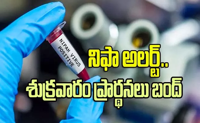 Nipah Virus Cases On The Rise In Kerala - Sakshi